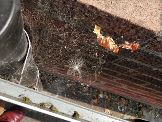 Closeup of spiderweb between wall and sign - different angle