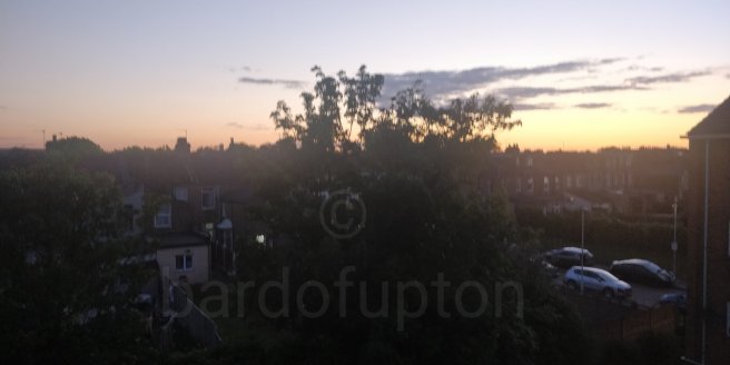 Sunset, tree in centre and houses